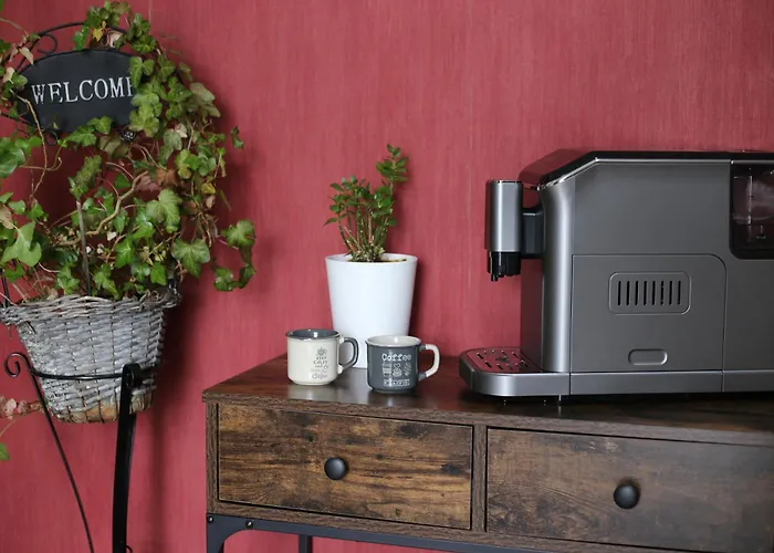 老城区酒店 布拉索夫