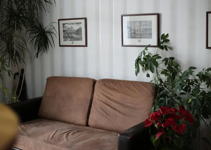 招待所 老城区酒店 布拉索夫